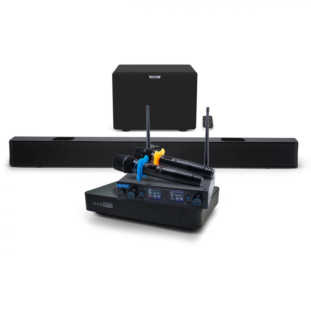 Hi-End караоке-система EVOBOX Premium + EvoSoundBar (саундбар с караоке) в Пензенской области