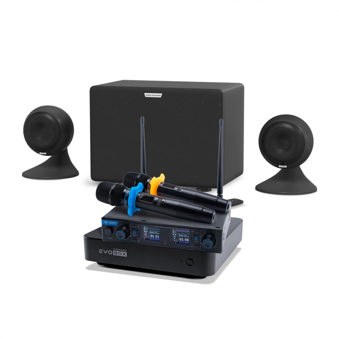 караоке-комплект EVOBOX + EvoSound Sphere 2.1 в Пензенской области