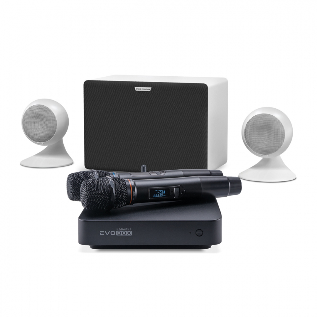 караоке-комплект EVOBOX Classic + EvoSound Sphere 2.1 в Пензенской области