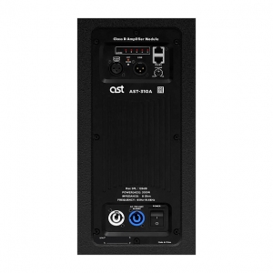 Активная акустическая система AST-310A в Пензенской области