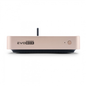 EVOBOX Plus караоке-система для дома в Пензенской области