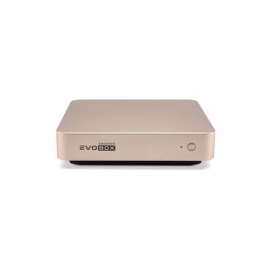 EVOBOX с микрофонами в Пензенской области