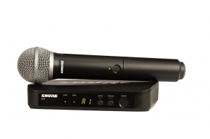 SHURE BLX24E/PG58 M17 вокальная радиосистема в Пензенской области